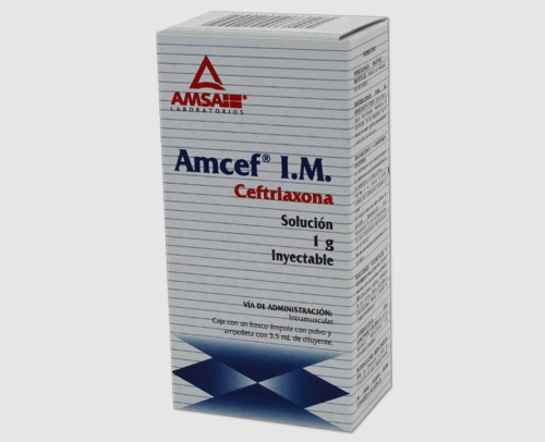 AMCEF I.M. 1 FA 1G/3.5 ML